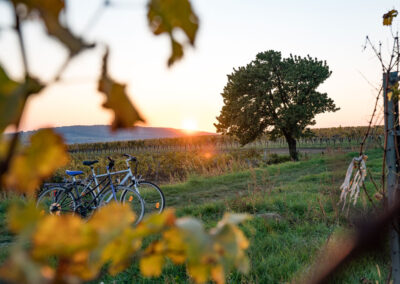 E-Bike Rad Urlaub Burgenland