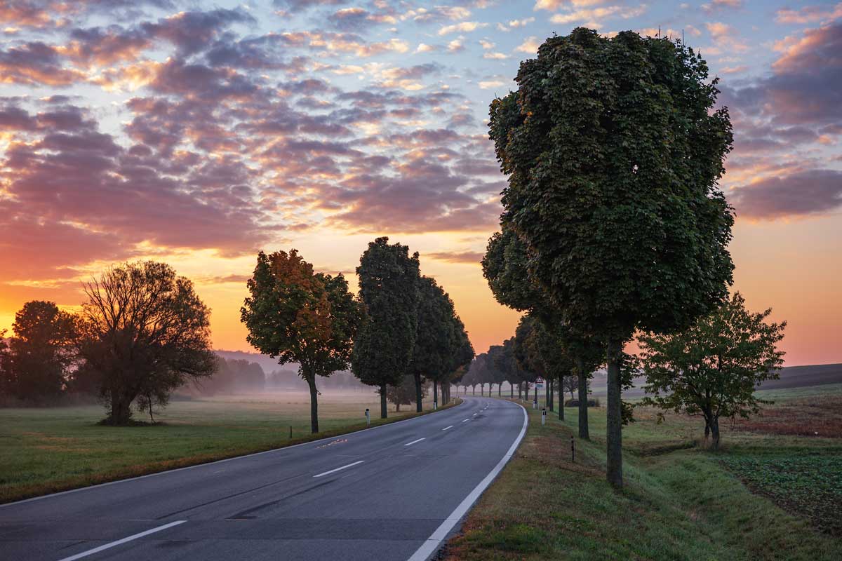 Allee im Sonnenuntergang Allee im Sonnenuntergang