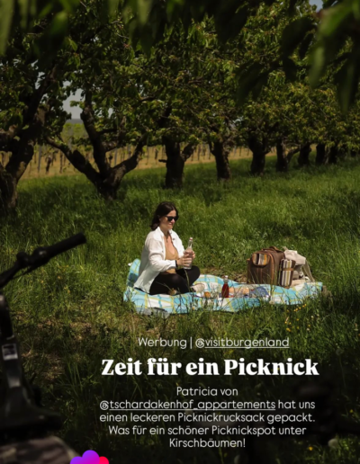 Tschardakenhof Passenger X Picknick in den Weinbergen